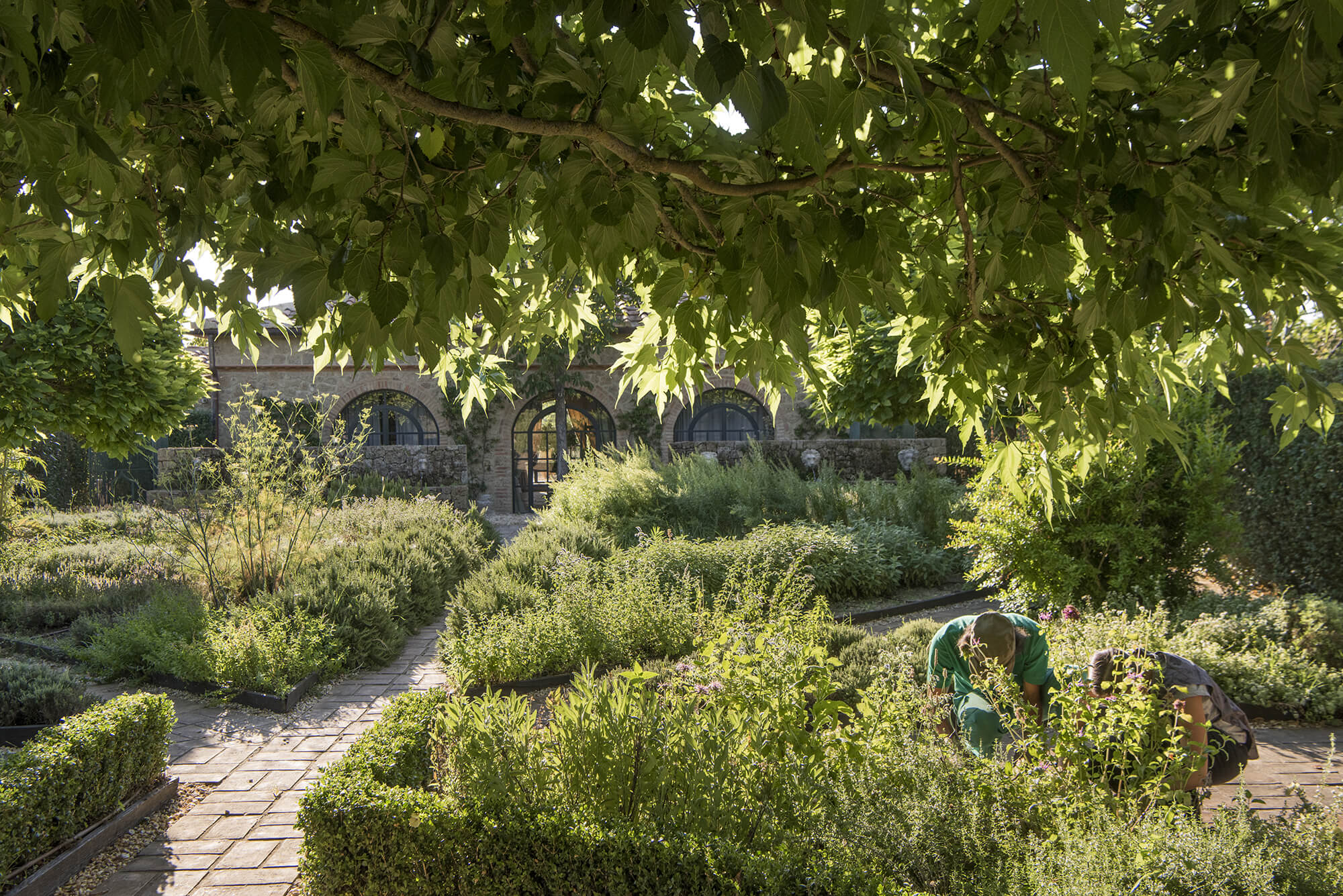 Borgo Santo Pietro Healing Gardens