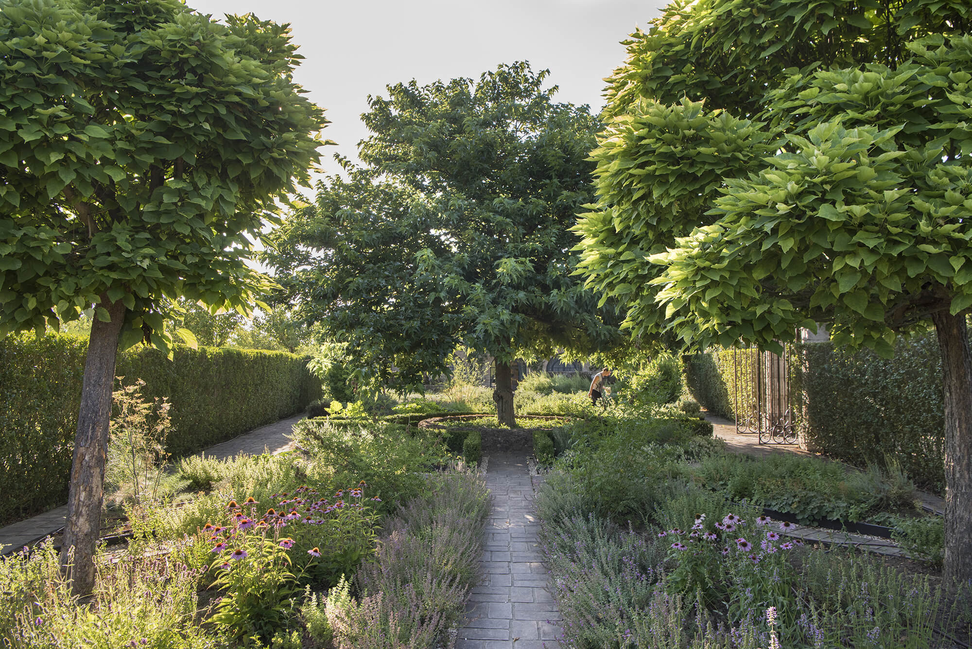 Borgo Santo Pietro Healing Gardens