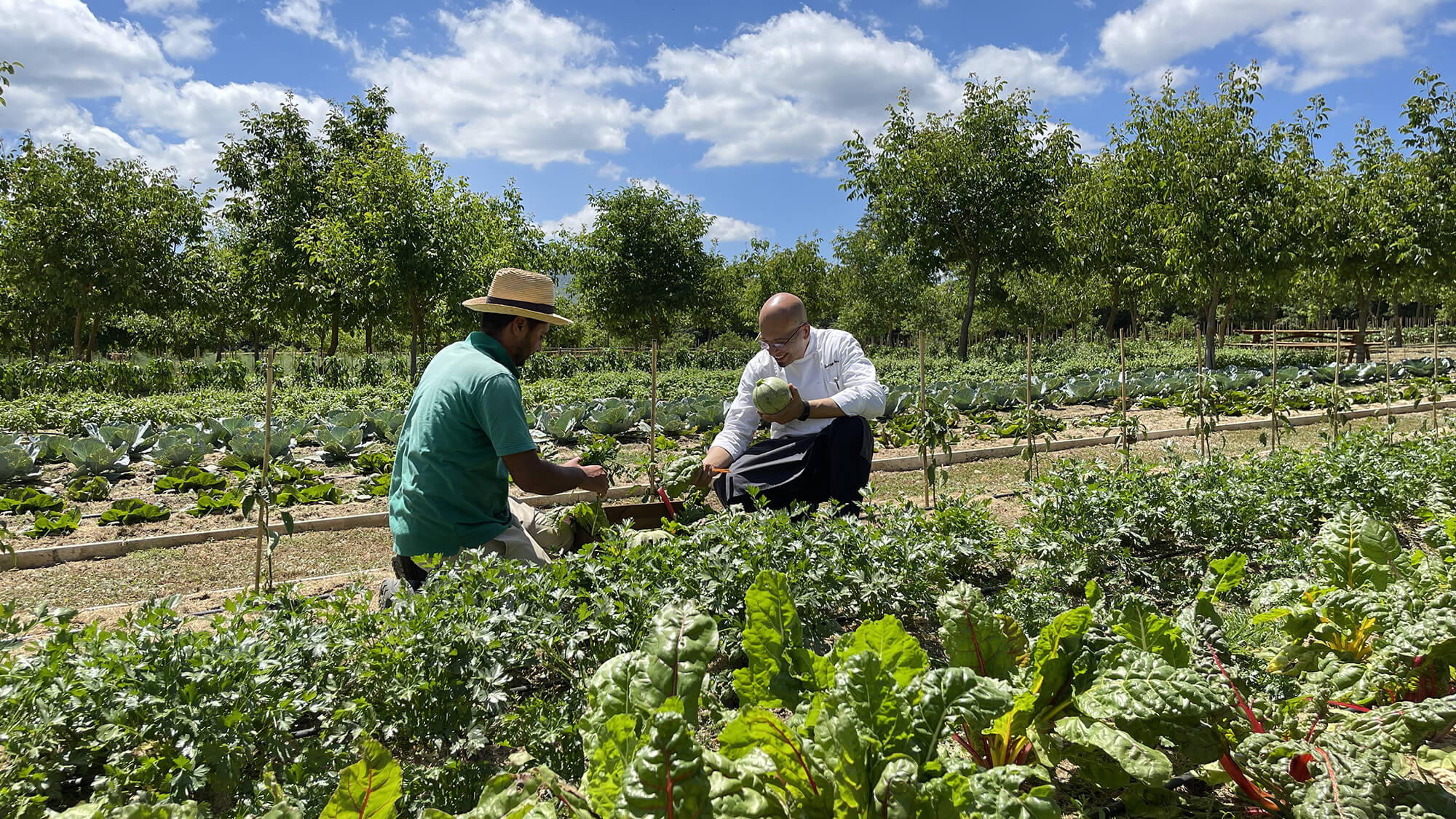 Borgo Santo Pietro - Culinary gardens